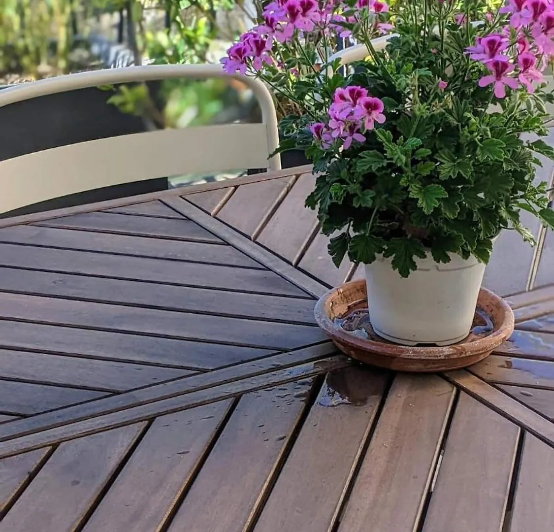 Chambre Voltaire Ou Chambre Beckett, Terrasse En Bord De Sorgue Le Thor Bed & Breakfast